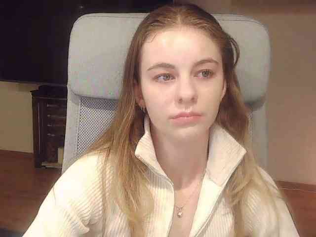 AriaModel webcam