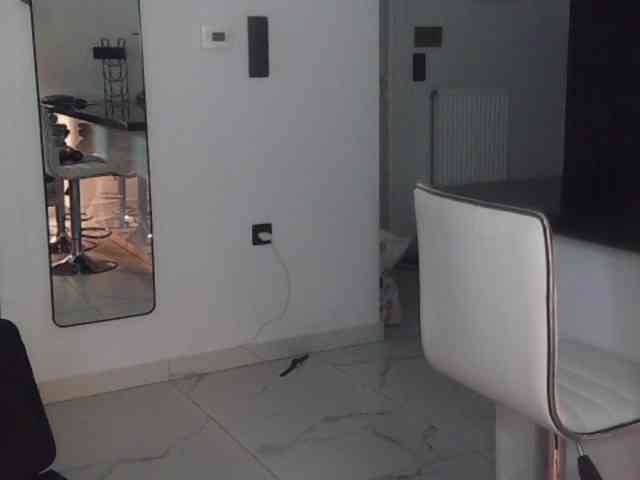 AriaModel webcam