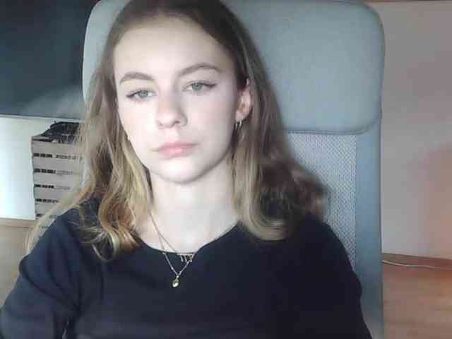 AriaModel webcam