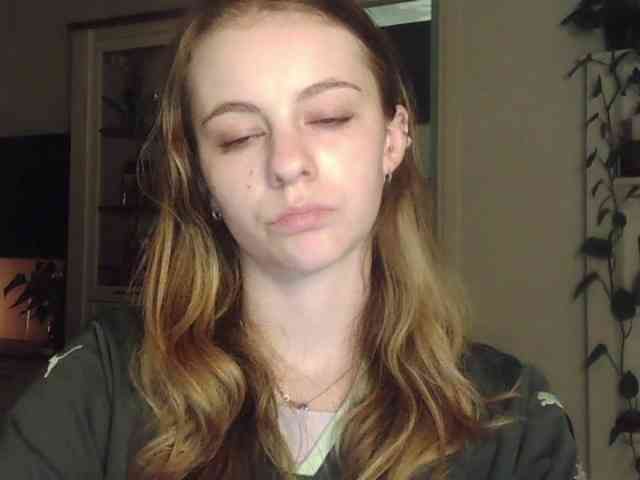 AriaModel webcam