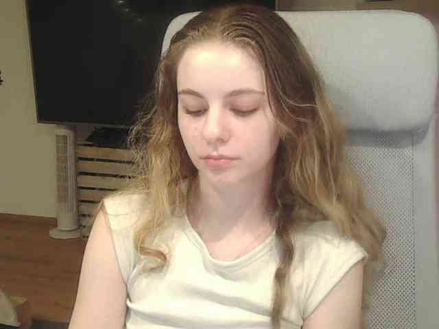 AriaModel webcam