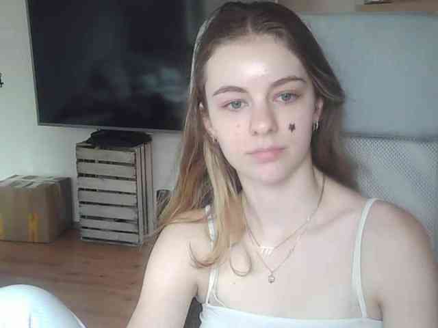 AriaModel webcam