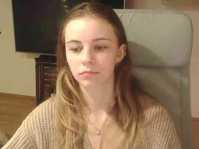 AriaModel webcam