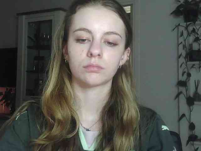 AriaModel webcam