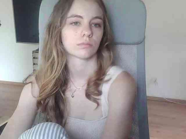 AriaModel webcam
