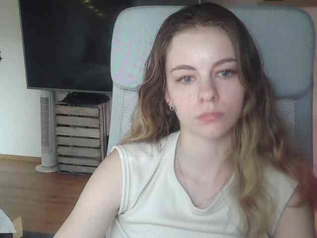 AriaModel webcam