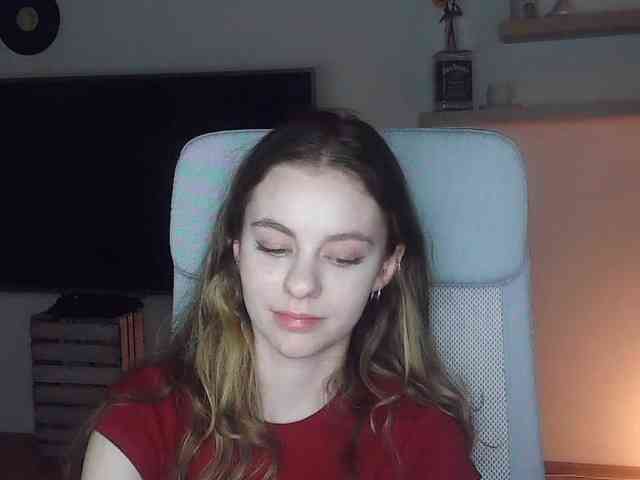 AriaModel webcam