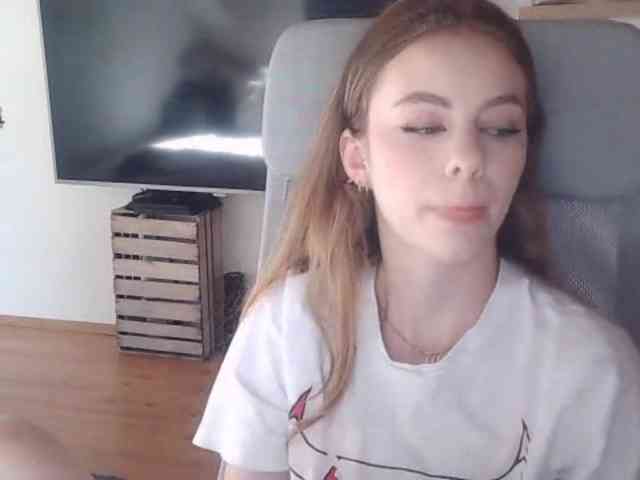 AriaModel webcam