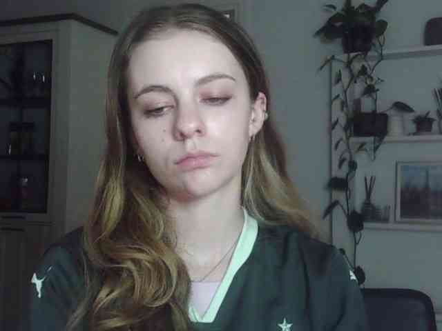 AriaModel webcam