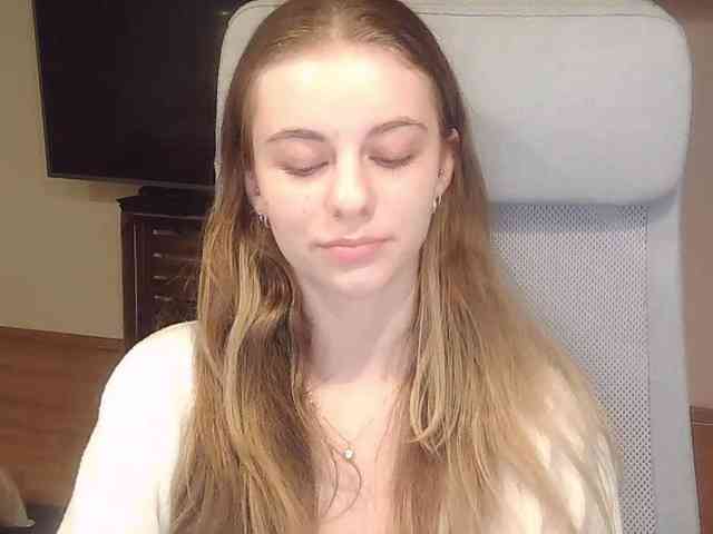AriaModel webcam