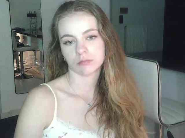 AriaModel webcam