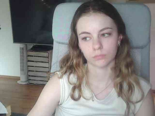 AriaModel webcam