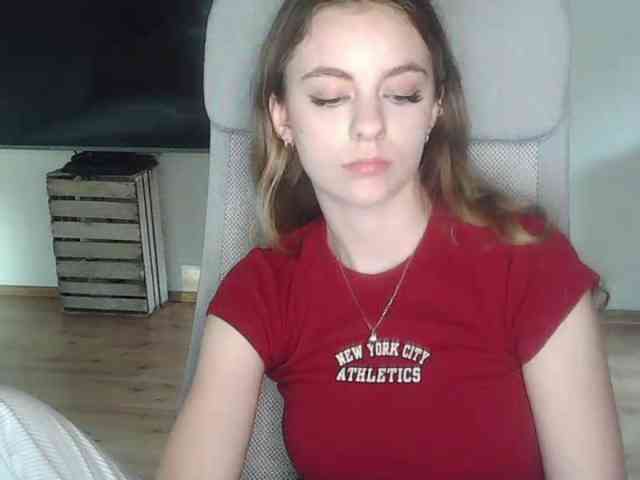 AriaModel webcam