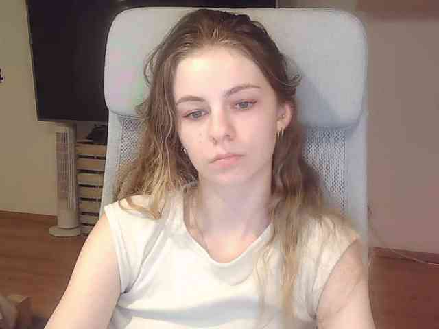 AriaModel webcam
