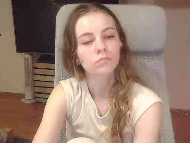 AriaModel webcam