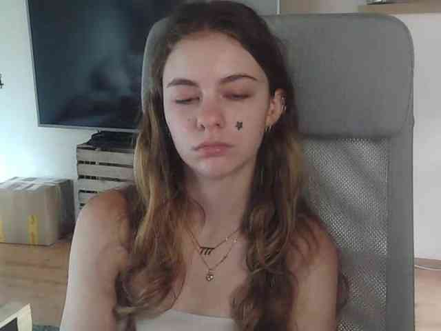 AriaModel webcam