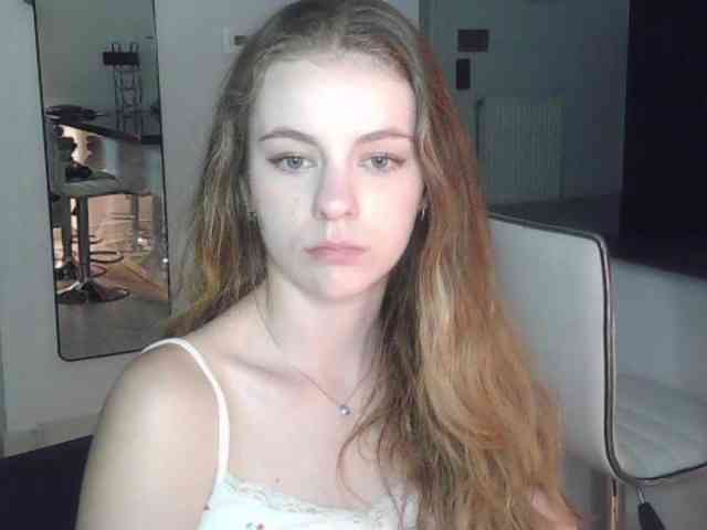 AriaModel webcam