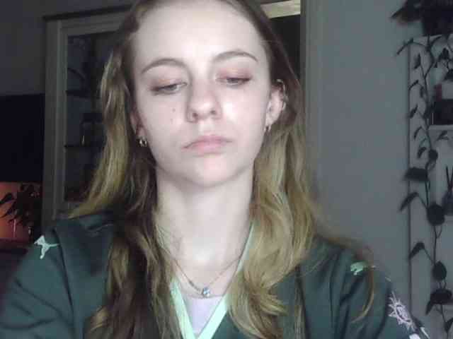 AriaModel webcam