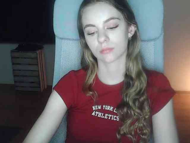 AriaModel webcam