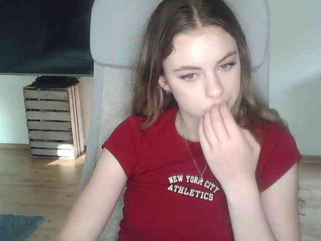AriaModel webcam
