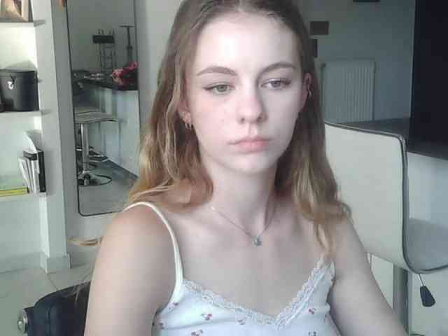 AriaModel webcam