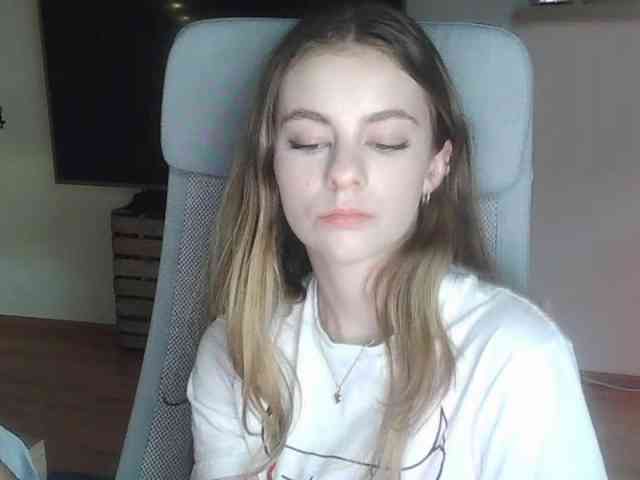 AriaModel webcam
