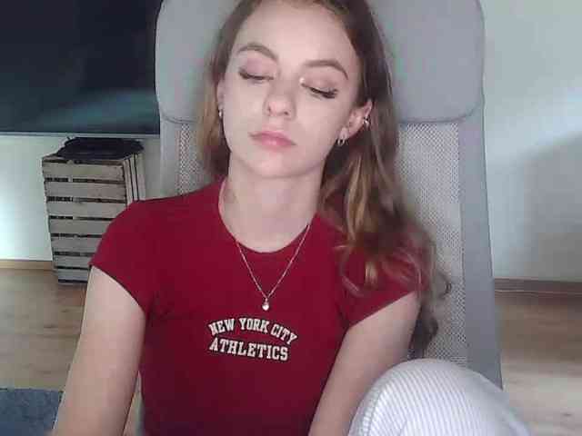 AriaModel webcam