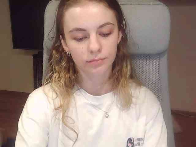 AriaModel webcam