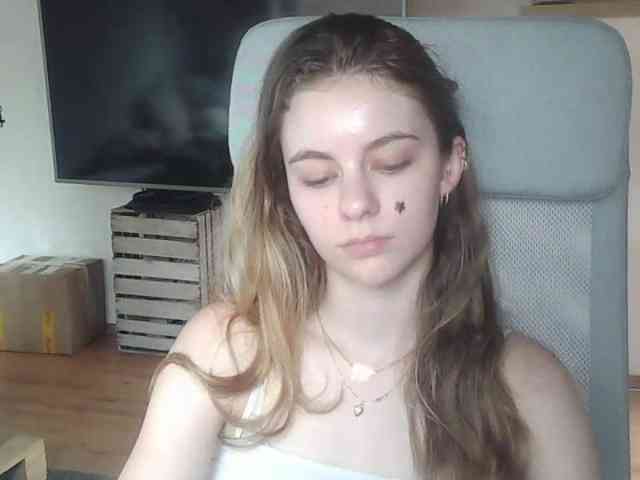 AriaModel webcam