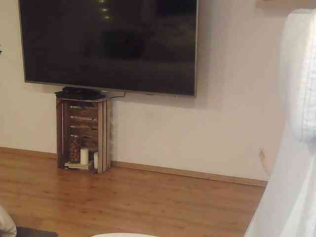 AriaModel webcam
