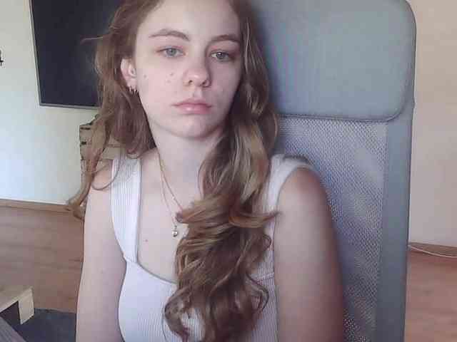 AriaModel webcam