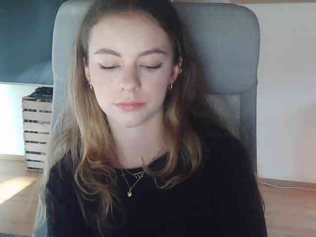 AriaModel webcam