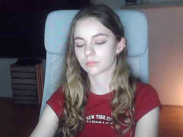 AriaModel webcam