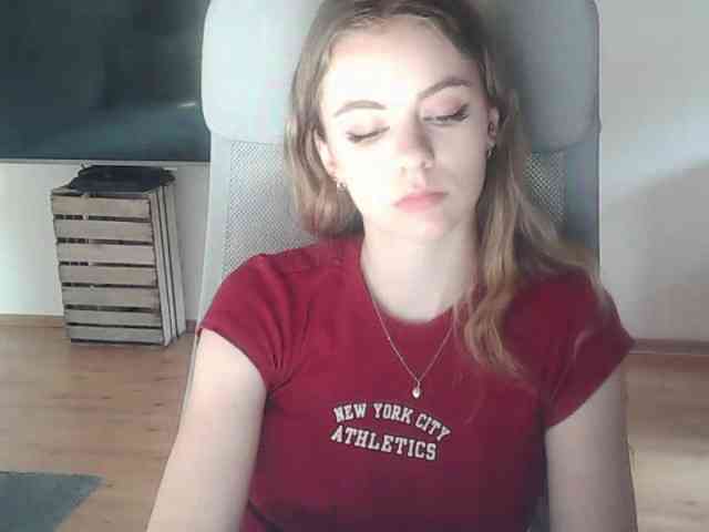 AriaModel webcam