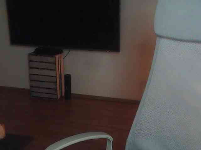 AriaModel webcam