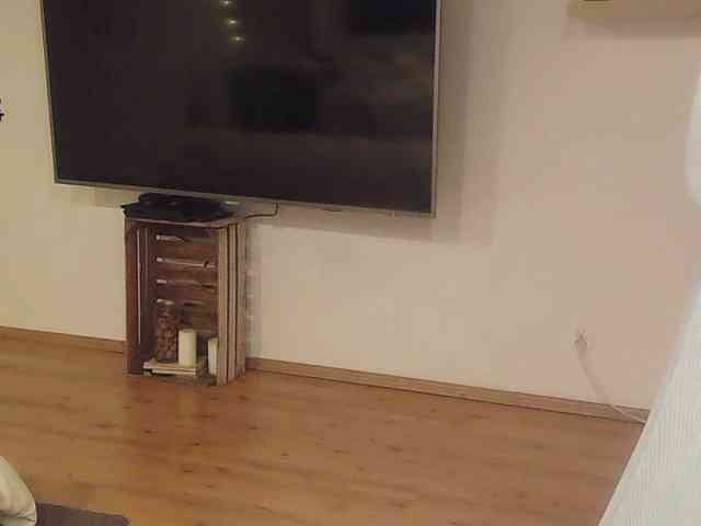 AriaModel webcam