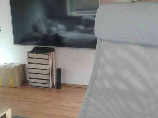AriaModel webcam