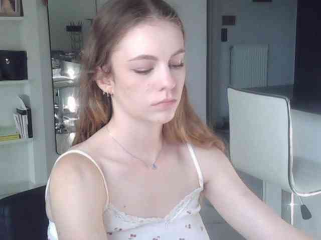 AriaModel webcam