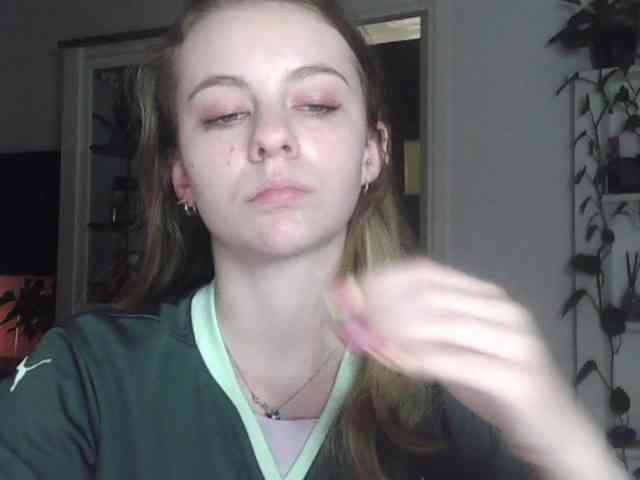 AriaModel webcam