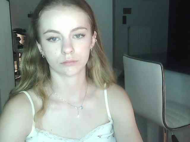AriaModel webcam