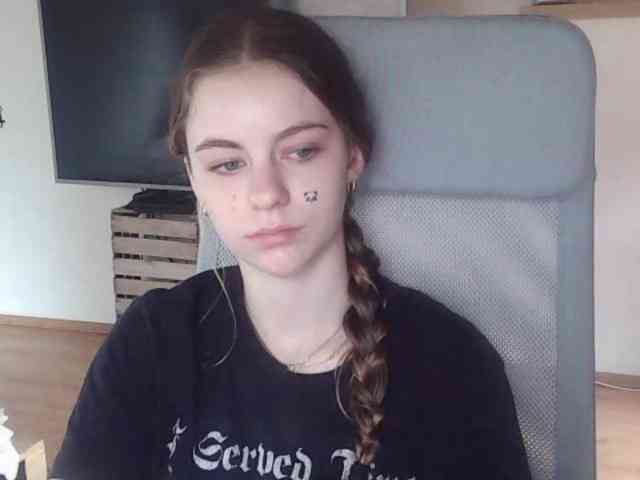 AriaModel webcam