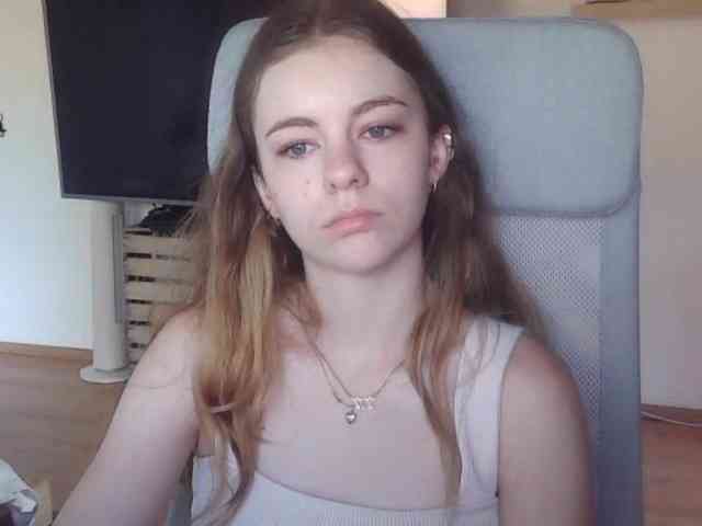 AriaModel webcam