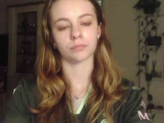 AriaModel webcam