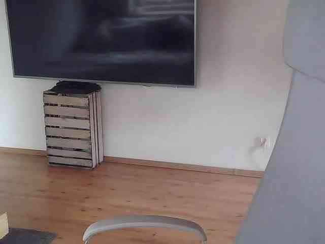 AriaModel webcam