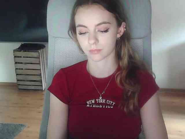 AriaModel webcam