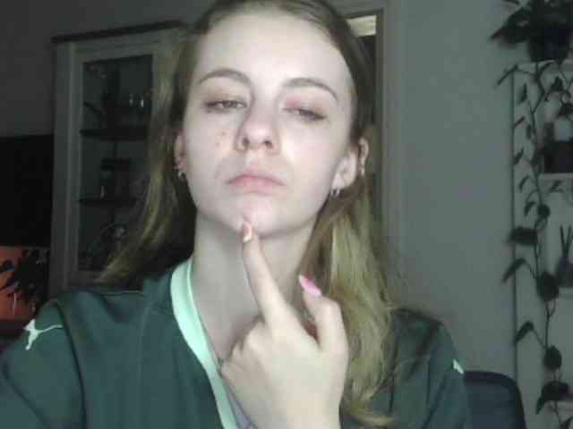 AriaModel webcam