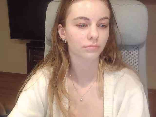 AriaModel webcam
