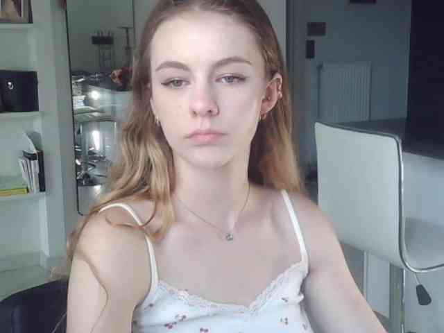 AriaModel webcam