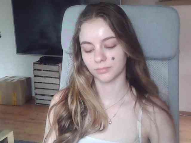 AriaModel webcam