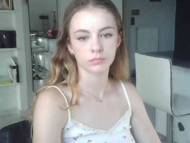AriaModel webcam